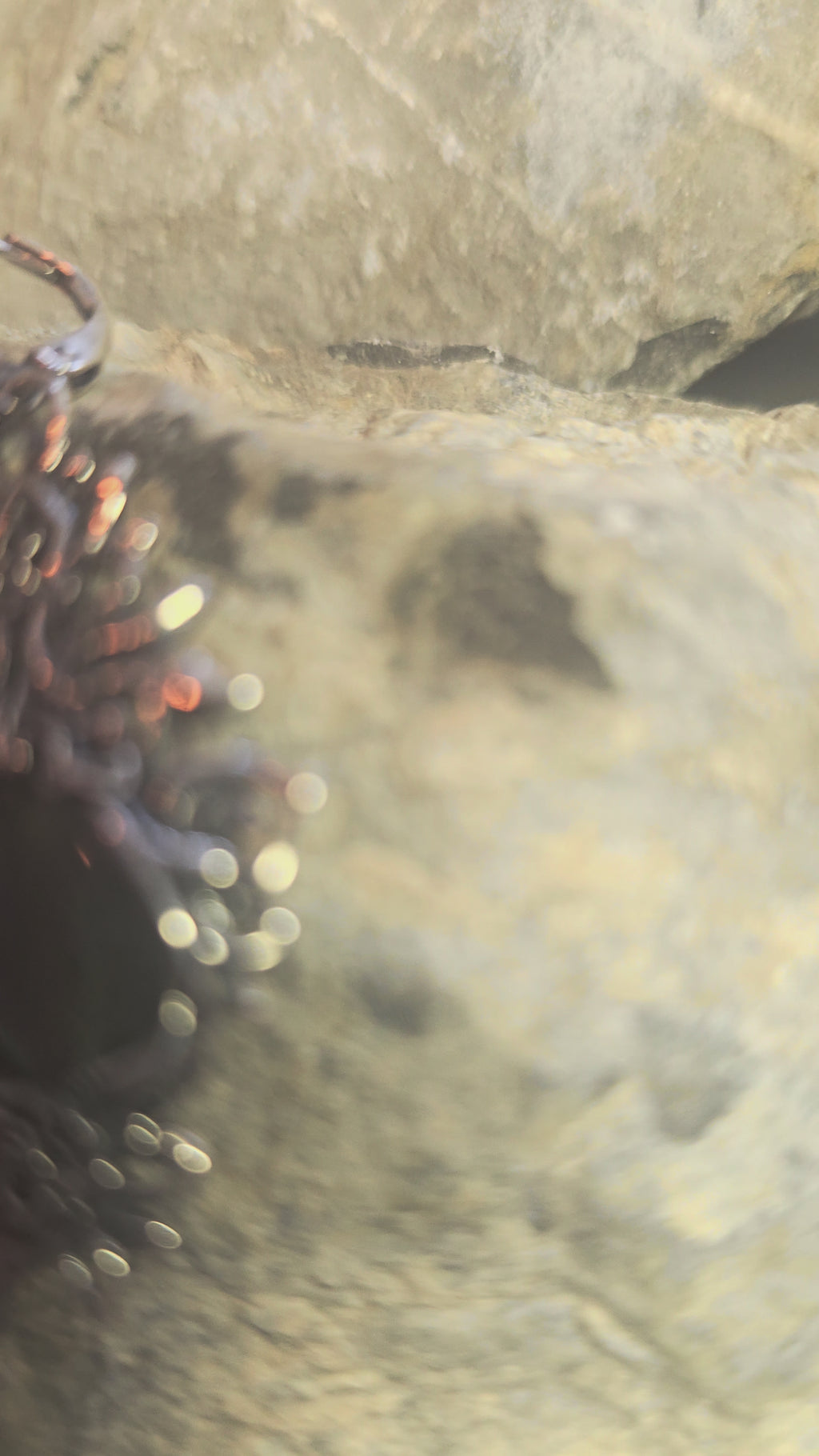 Elven court earrings | Silver Plated