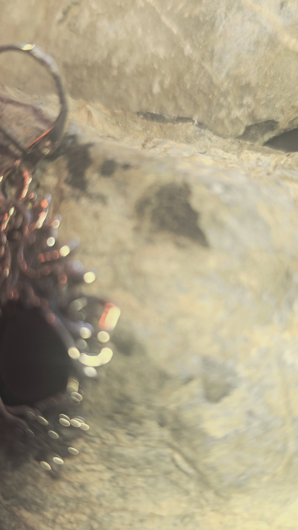 Elven court earrings | Silver Plated