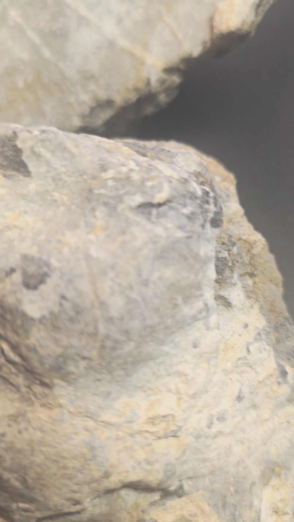 Emberwake Earrings | Silver